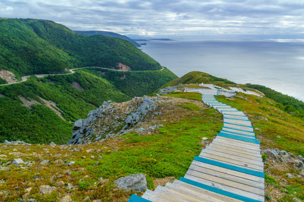 skyline trail, im cape breton highlands national park - nova scotia stock-fotos und bilder