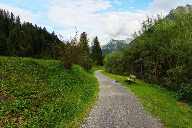 istock Beautiful footpath in the Austrian mountains on a sunny day 1197188945