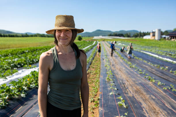 istock Farmhands tend crops at ecological farm. 1197188970