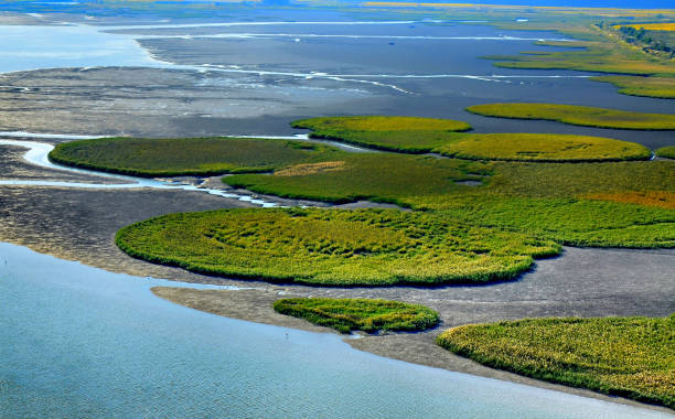 istock Suncheon bay, South Korea 1197190967