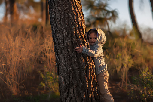 A little kid on a hill in nature who is hugging a tree during a sunset in winter.