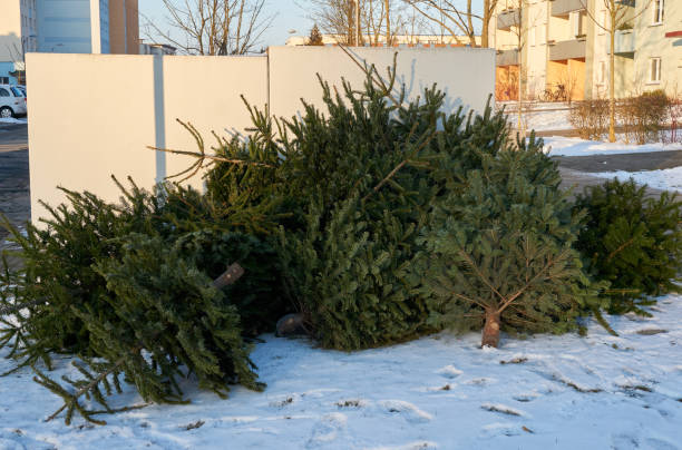 istock christmas tree end of life garbage 1197196840