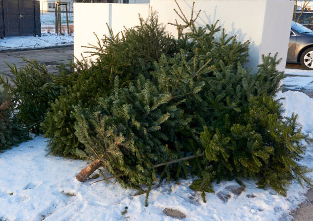 istock christmas tree end of life garbage 1197197180