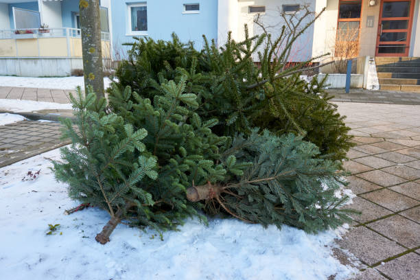 istock christmas tree end of life garbage 1197197212
