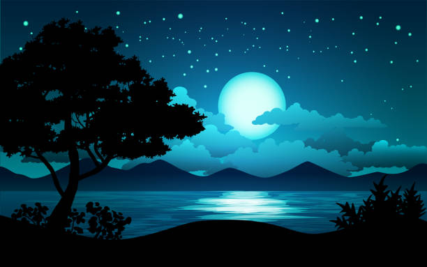 Starry night in forest Forest landscape with clouds and starry sky moon silhouettes stock illustrations