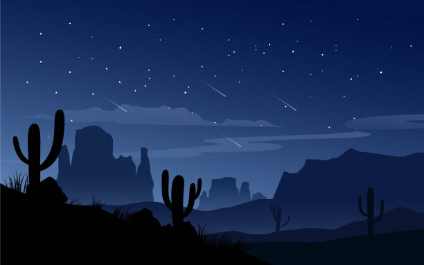 ночное небо пустыни - nevada desert landscape cactus stock illustrations