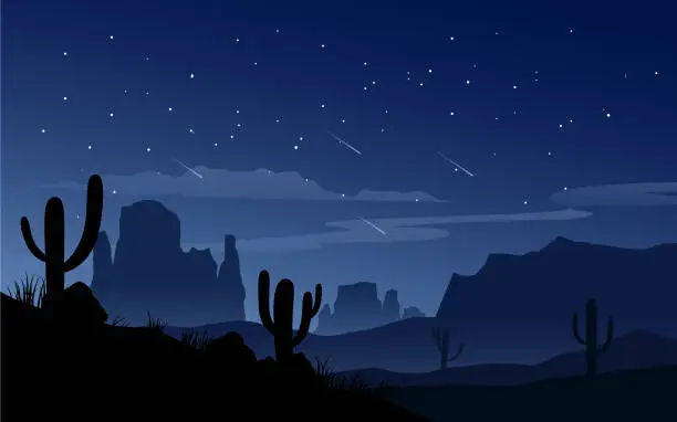 Vector illustration of Desert night sky