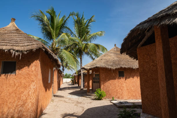 セネガルの伝統的な観光リゾート。大きな緑の手のひら。 - senegal africa footpath hut ストックフォトと画像