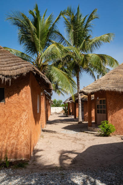 セネガルの伝統的な観光リゾート。大きな緑の手のひら。 - senegal africa footpath hut ストックフォトと画像