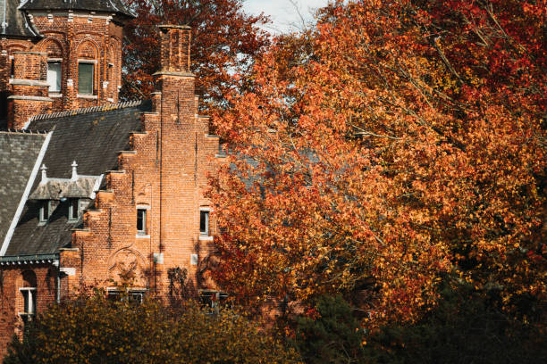 brujas árboles de otoño y construcciones clásicas - bruges town hall fotografías e imágenes de stock