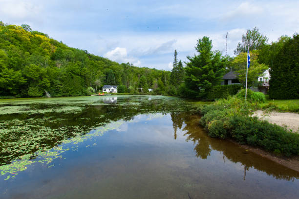 istock Calm lake with water lilies and chalets around 1197206049