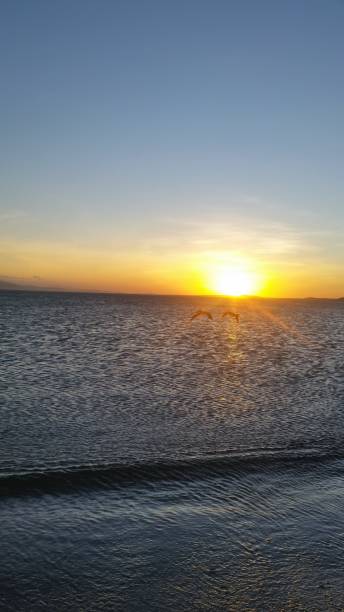 istock Nice sunset in Salazar 1197206299
