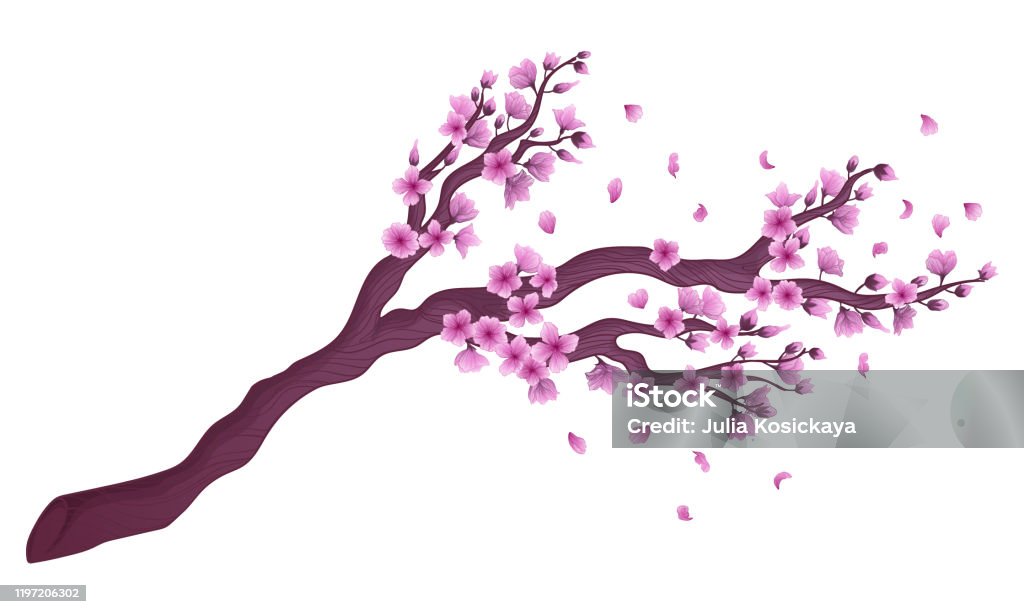 Ilustración de Rama De Flor De Sakura Dibujada A Mano Vectorial Con Flores Y Pétalos Que Caen Aislados Sobre Fondo Blanco Ilustración De Stock Símbolo Romático Japonés Rama De Cerezo Flor De Ilustración de Rama De Flor De Sakura Dibujada A Mano Vectorial Con Flores Y Pétalos Que Caen Aislados Sobre Fondo Blanco Ilustración De Stock Símbolo Romático Japonés Rama De Cerezo Flor De