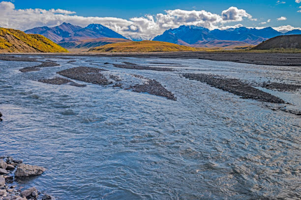 istock A braided River in Denali National Park 1197222265