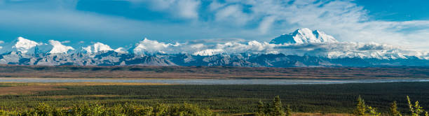 gamme de montagnes de l'alaska dans le parc national de denali - scenics denali national park alaska usa photos et images de collection