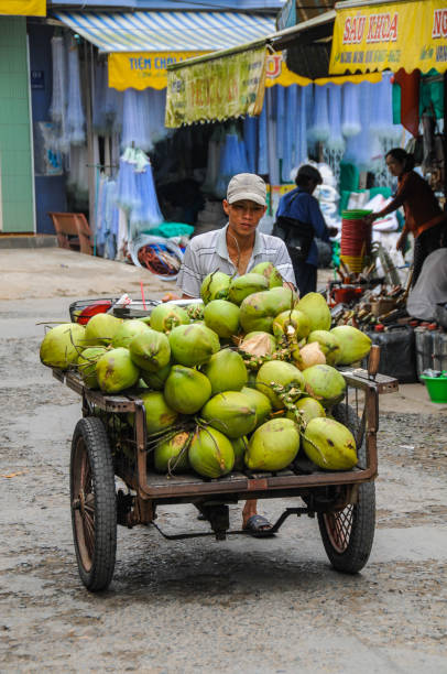 Coconut cart Mekong Delta, Vietnam; November 29 2008. Man pushing cart carrying fresh coconuts. vietnam cuture stock pictures, royalty-free photos & images