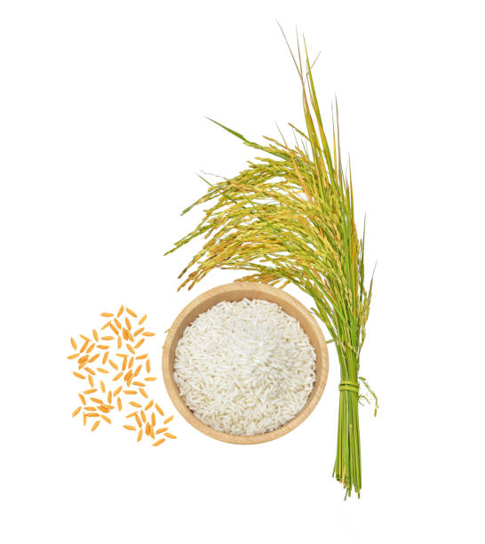 istock Top view of rice grains isolated on white background 1197233252