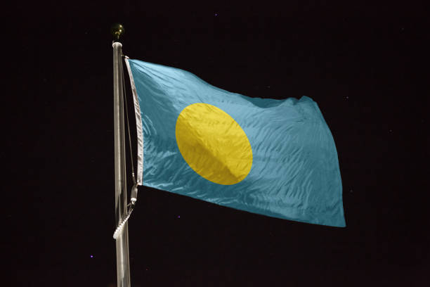 istock Palau flag blowing in the wind at night 1197233374