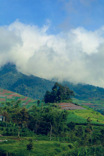 istock The sumbing mountain 1197235975