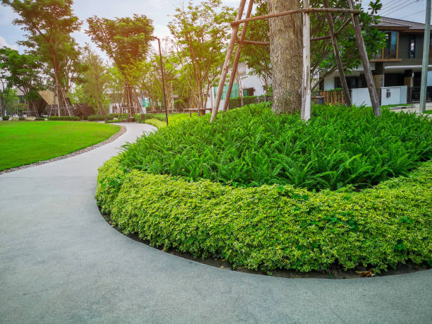 istock Greenery bush and trees in garden with gray curve pattern walkway, sand washed finishing on concrete paving and brown gravel border, smooth green grass lawn, shrubs in a good care maintenance landscapes 1197237554