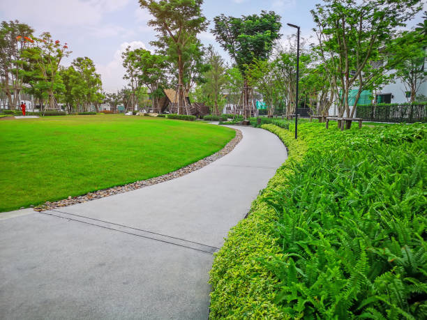 istock Greenery bush and trees in garden with gray curve pattern walkway, sand washed finishing on concrete paving and brown gravel border, smooth green grass lawn, shrubs in a good care maintenance landscapes 1197237566