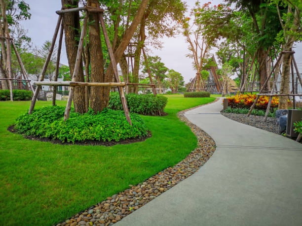 istock Greenery bush and trees in garden with gray curve pattern walkway, sand washed finishing on concrete paving and brown gravel border, smooth green grass lawn, shrubs in a good care maintenance landscapes 1197237637