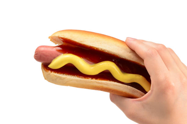 Hot dog in woman hand isolated on white background. Copy space.