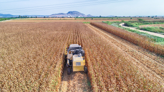 Aerial view of corn field during harvest
