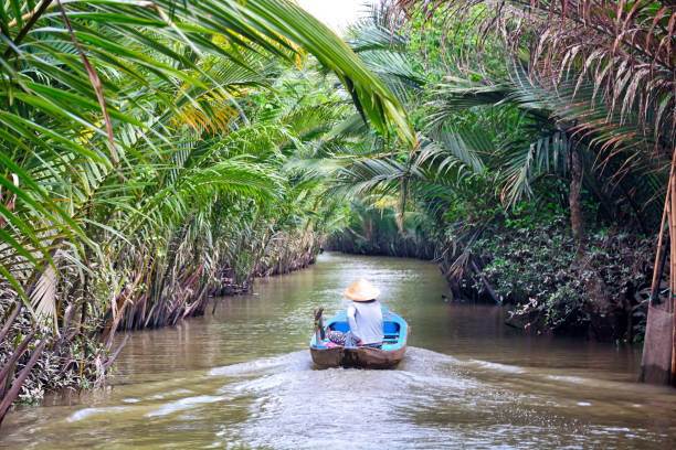 istock Mekong Delta, Vietnam 1197252265