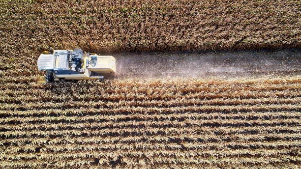 istock Aerial view of corn field during harvest 1197254389