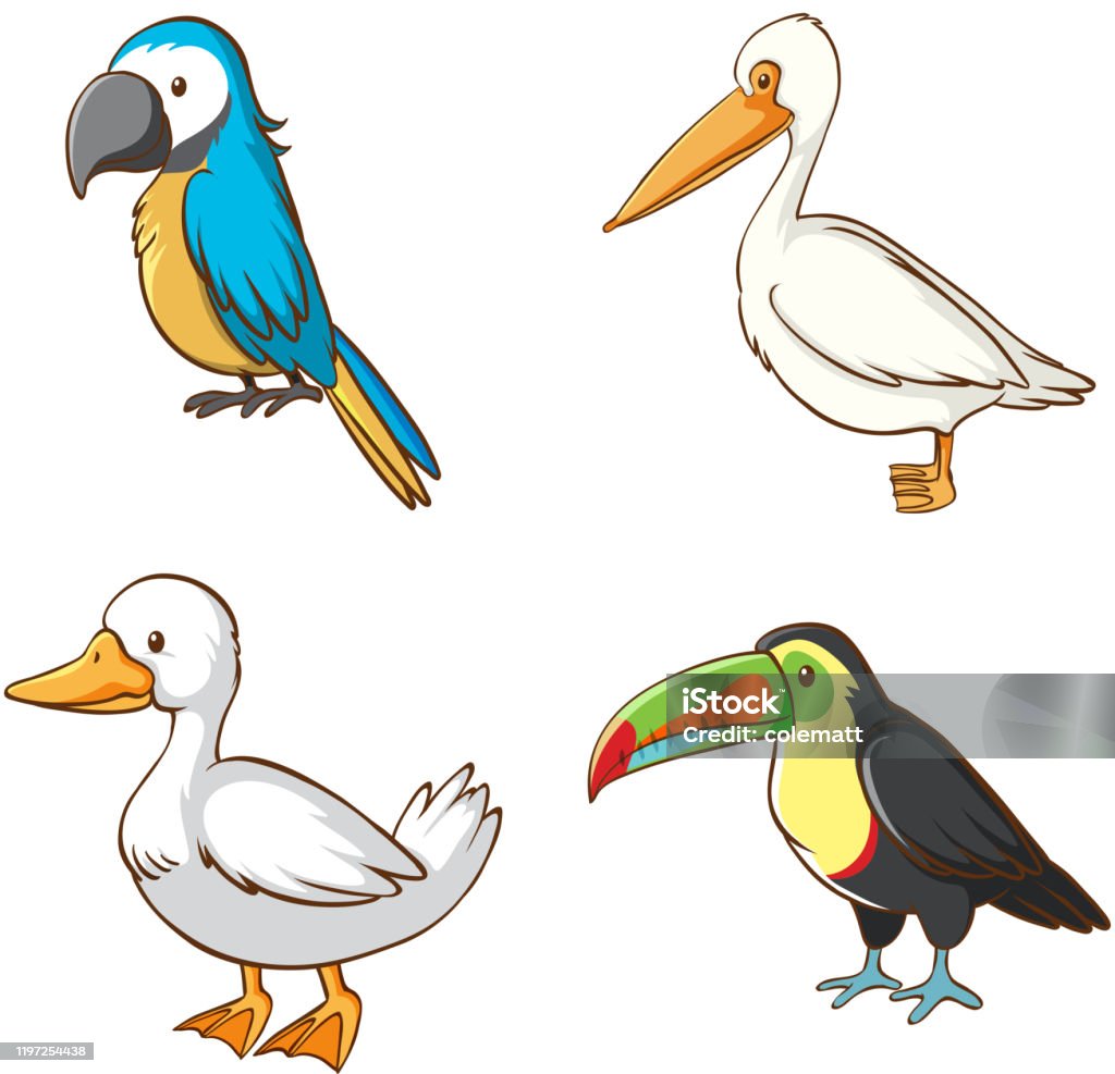 Isolated Picture Of Different Birds Stock Illustration - Download ...