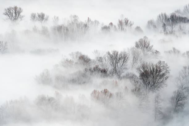 istock Awesome sunrise over the misty forest 1197255685