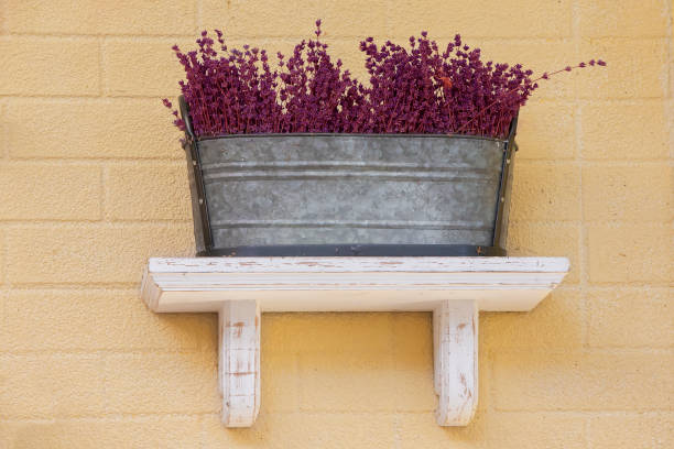 Background dry lavender in a copper basin on the wall