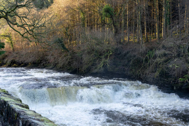 istock Falls of Clyde, Scotland 1197257810