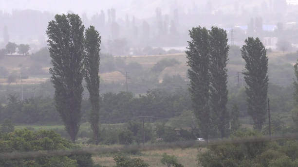 istock Rain storm on summer landscape valley meadow with trees and forest on horizon 1197259462