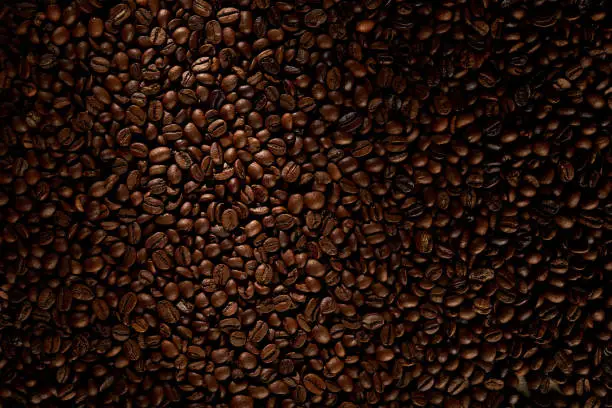 Photo of Coffee beans