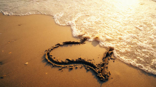 Hart shape drawn on beach sand is being washed by sea waves with sunset reflection