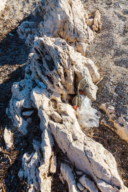 rocky beach on the island of corfu - travel destinations rocky coastline moody sky clear sky imagens e fotografias de stock