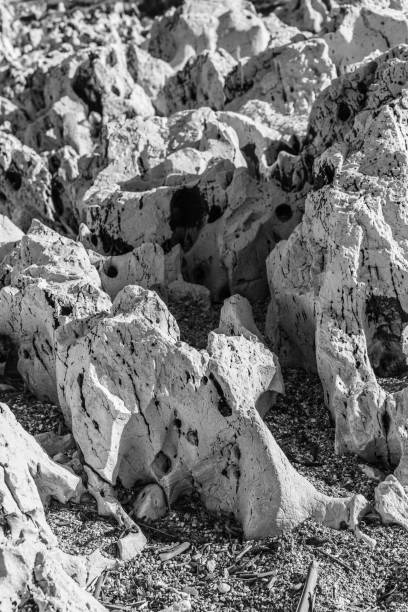 rocky beach on the island of corfu - travel destinations rocky coastline moody sky clear sky imagens e fotografias de stock