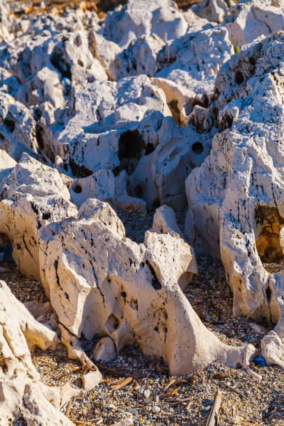 rocky beach on the island of corfu - travel destinations rocky coastline moody sky clear sky imagens e fotografias de stock