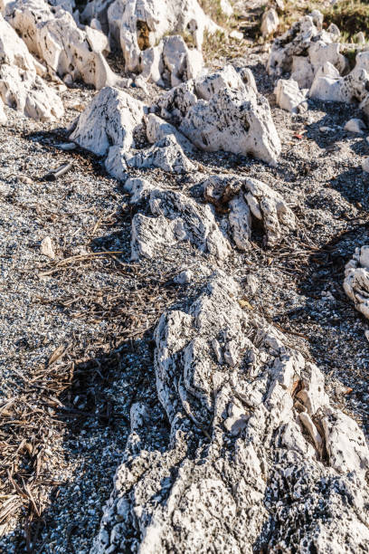 skalista plaża na wyspie korfu - travel destinations rocky coastline moody sky clear sky zdjęcia i obrazy z banku zdjęć