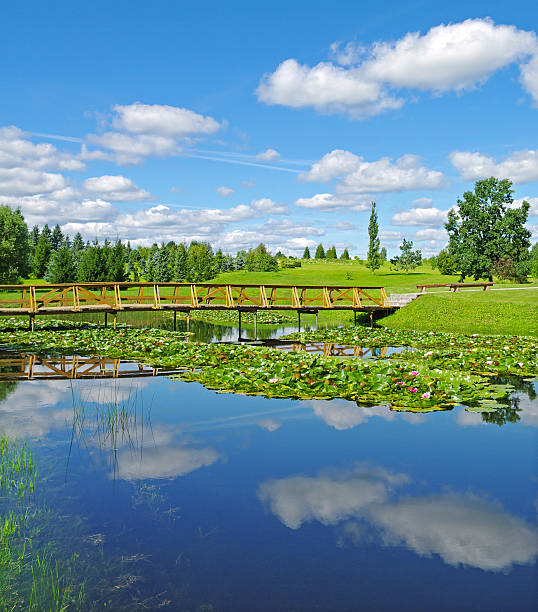 istock Pond in arboretum. 119726431