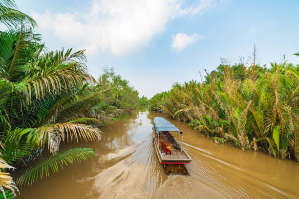 メコン川デルタ地域、ベントレ、南ベトナムでのボートツアー。ココナッツヤシの木のプランテーションを通して水路のクルーズに木製のボート。 - forest canal tropical rainforest river ストックフォトと画像