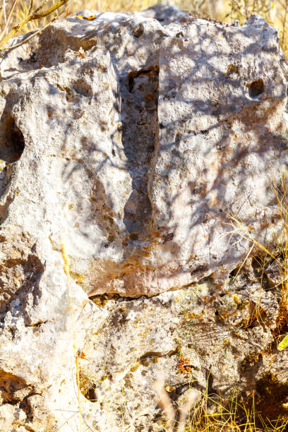 istock texture of old crumbling rocks 1197268603