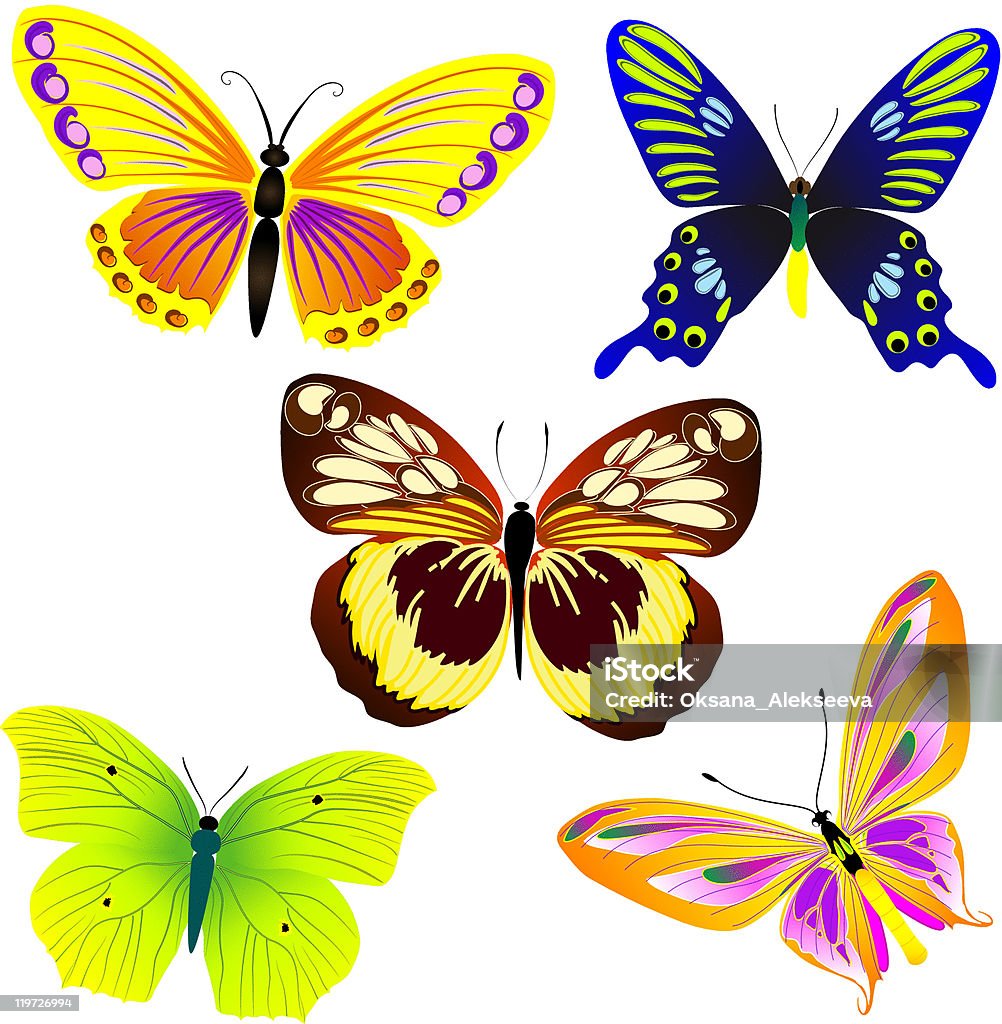 Тропические бабочек - Векторная графика Абстрактный роялти-фри