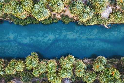 Aerial view of a river surrounded by palm forest in famous Preveli gorge (south Chania, Crete, Greece).