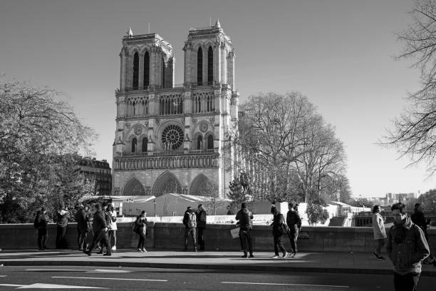 Notre Dame Cathedral in Paris close up