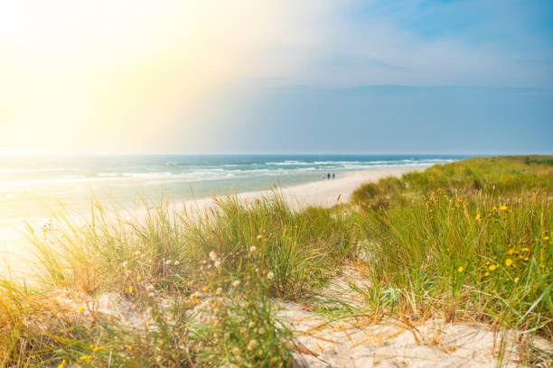 Sandhammaren beach in Osterlen, Skane, Sweden.