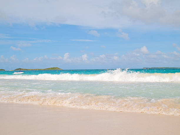 The beach stock photo