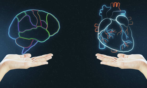 istock Human verses Artificial Intelligence concept with digital brain and heart hologram layouts above hands. 1197279489